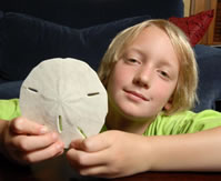 largest sand dollar Augie Balicki