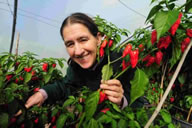Most chillies grown from one plant: Joy Michaud breaks Guinness World Records' record